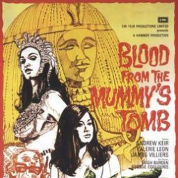 Movies Similar to Blood From the Mummy's Tomb (1971)