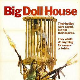 Movies Similar to the Big Doll House (1971)