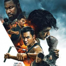 Movies You Should Watch If You Like Triple Threat (2019)