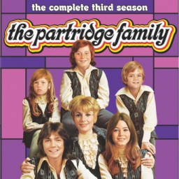 Tv Shows You Would Like to Watch If You Like the Partridge Family (1970 - 1974)