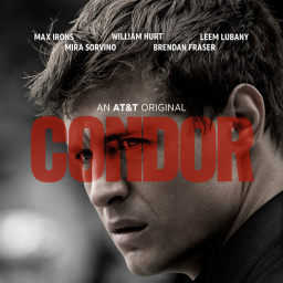 Tv Shows You Would Like to Watch If You Like Condor (2018)