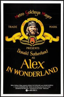 Movies Most Similar to Alex in Wonderland (1970)