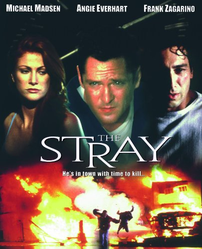 The Stray (2000) - Movies You Would Like to Watch If You Like 10x10 (2018)