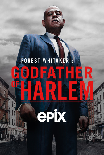 Godfather of Harlem (2019) - Tv Shows You Would Like to Watch If You Like Bad Blood (2017)