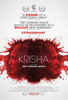 Krisha (2015) - Movies You Would Like to Watch If You Like Lost Transmissions (2019)